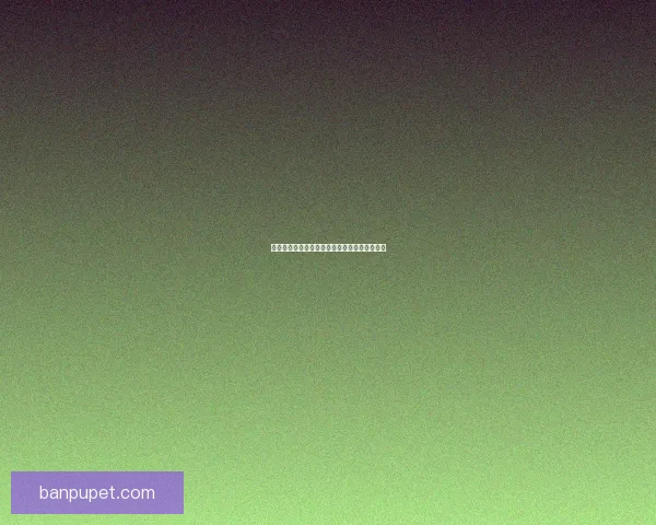 倩女幽魂魅者加点攻略分析与最优搭配推荐详解