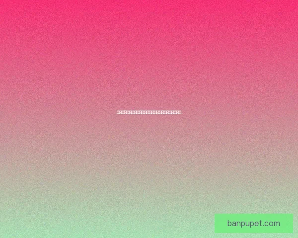 圣石小子游戏下载攻略与安装教程一站式解决你的所有问题