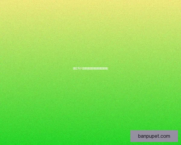 探索DNF金色小晶块的神秘用途及获取方法揭秘