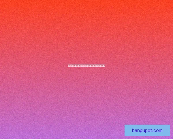 搜狗搜索引擎全新升级 深度优化用户体验与精准搜索服务