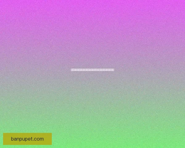 梦幻西游手游泡泡乐园探险新玩法精彩上线，快来体验更多乐趣