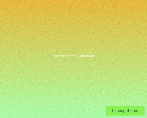 深入解析Net Framework 2.0核心特性与应用实践技巧