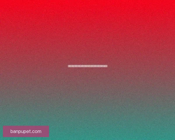 猎人与宠物的深厚羁绊：探索他们共同冒险的世界与情感纽带