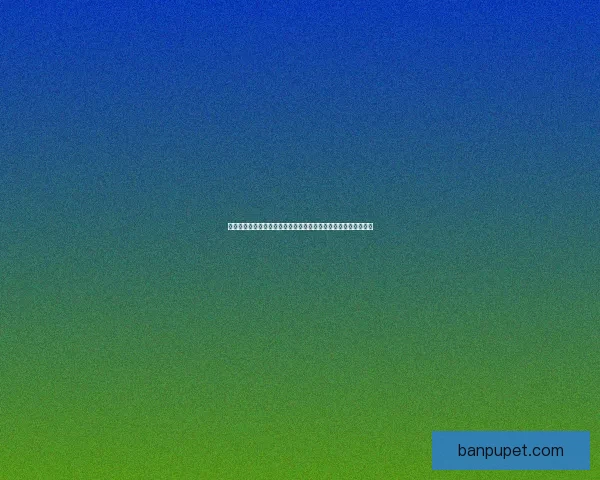 皇帝成长计划游戏下载及安装教程详解，带你一步步成为帝王之路