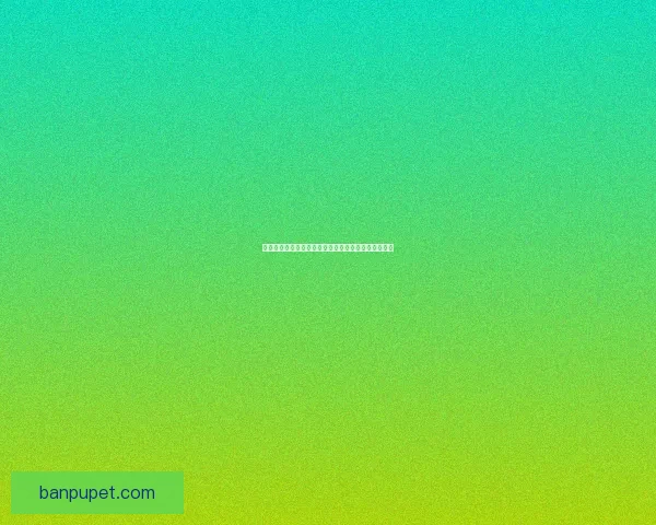 虚空魔石碎片如何合成中心打造全新强力装备方案解析