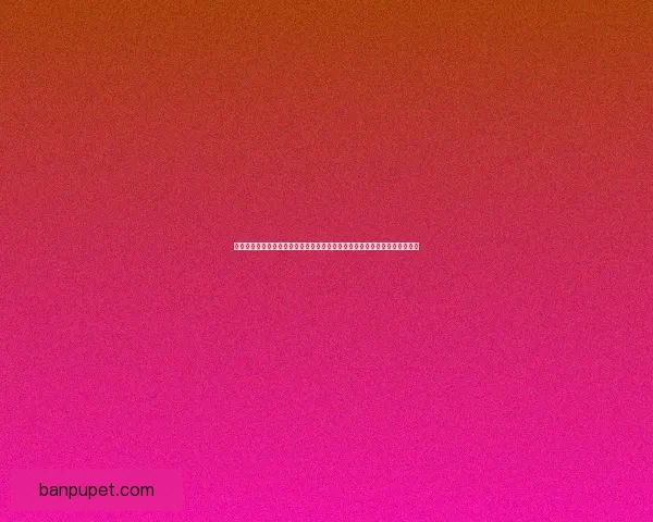 剑与远征命运困境全新解析挑战深度剖析玩家如何在多重选择中做出最佳决策