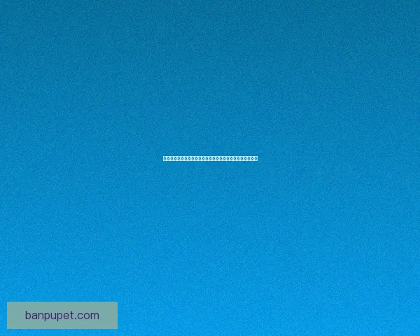 剑网三试炼之地全攻略：挑战强敌、收获珍稀装备的终极指南