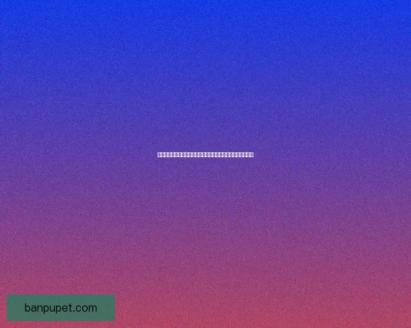 技能流审判加点指南如何打造最强技能输出与实用性平衡的角色